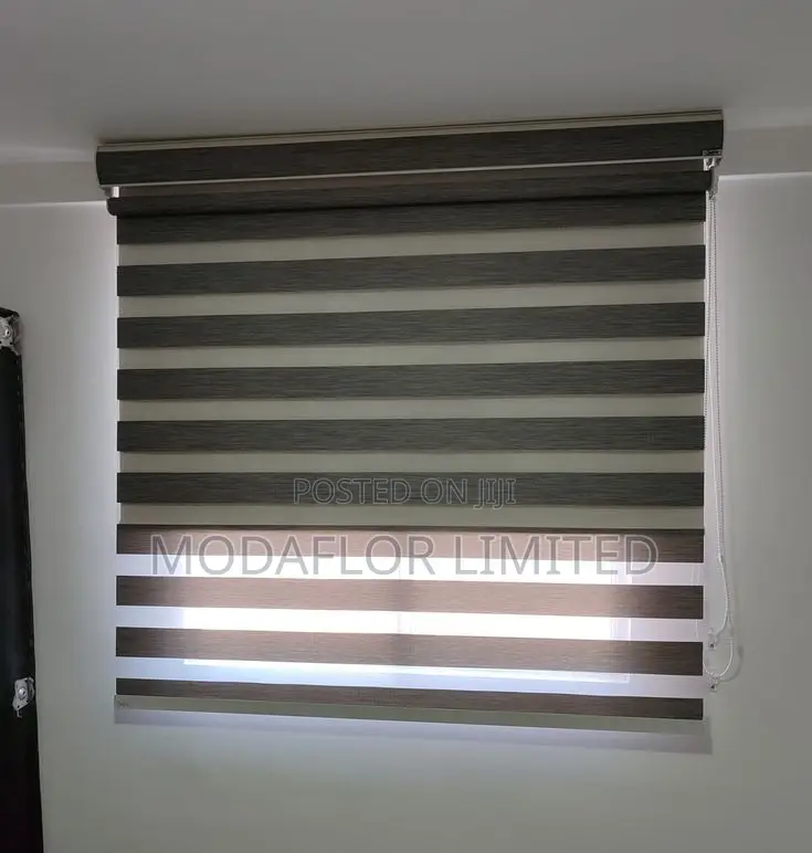Zebra Blinds for Elegant and Flexible Light Control