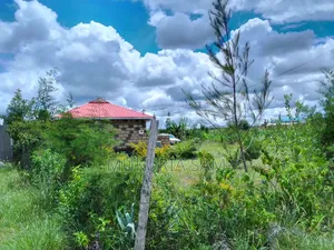 1/2 Acre Land in Rangau for Sale
