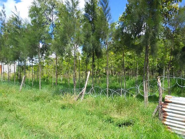 1/2 Acre Land in Rangau for Sale - thumbnail 2