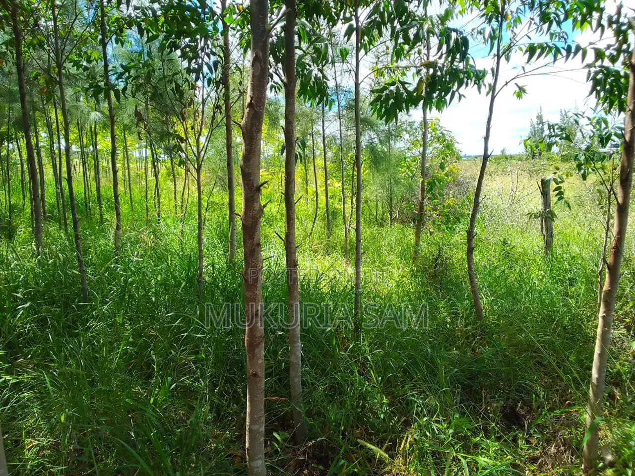 1/2 Acre Land in Rangau for Sale