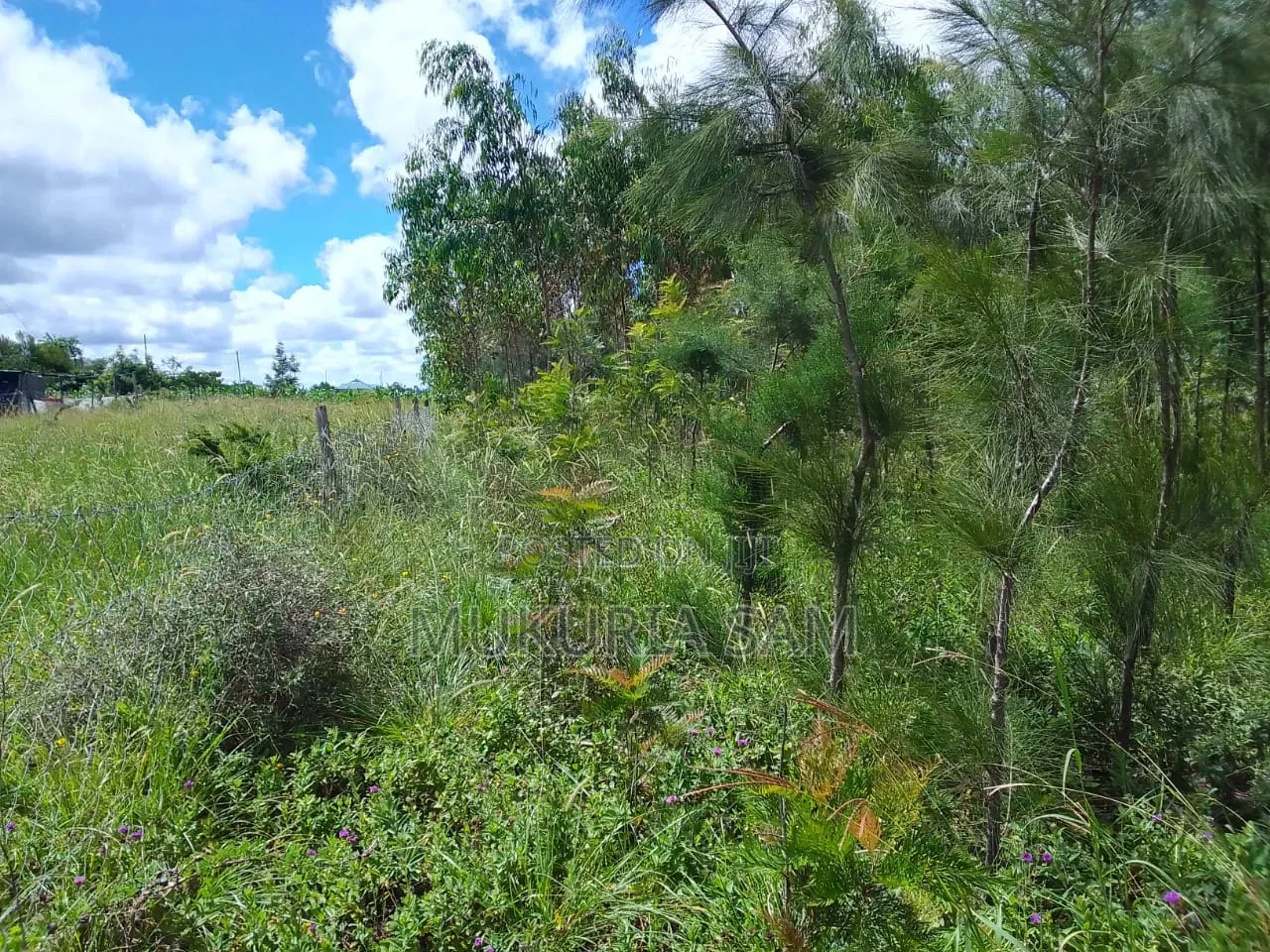 1/2 Acre Land in Rangau for Sale