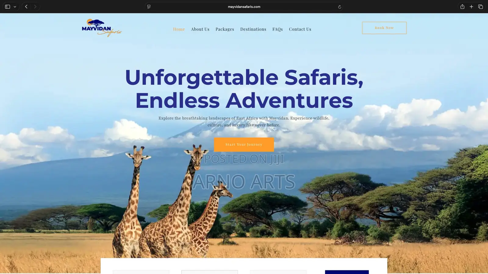 Professional Wordpress Website Design For Business