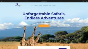 Professional Wordpress Website Design For Business