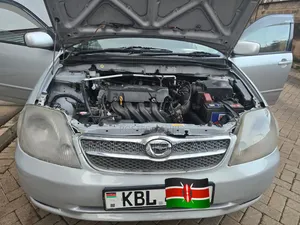 Toyota Corolla Fielder 2007 Silver
