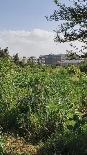 Athi River Plots for Sale