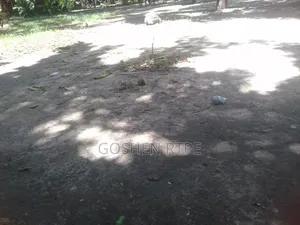 Prime 50x100 SQFT Plot/Shops on Sale Ferry Likoni at Ksh17m Negotiable