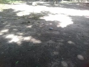 Prime 50x100 SQFT Plot/Shops on Sale Ferry Likoni at Ksh17m Negotiable