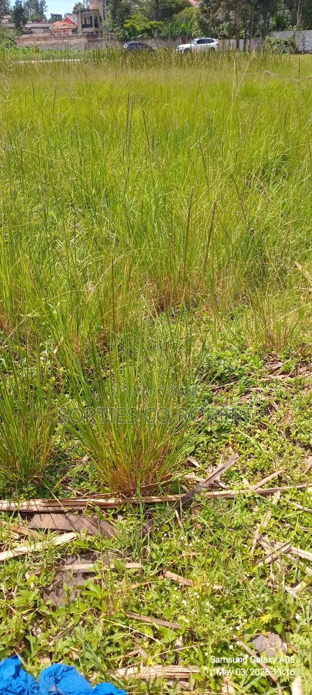 0.75ac Corner Plot Located in the Highly Sought-After Developed Area