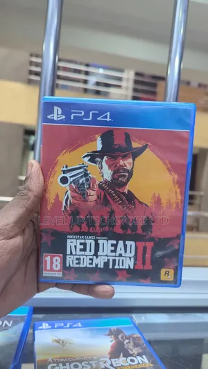 Red Dead Redemption 2 Ps4
Used