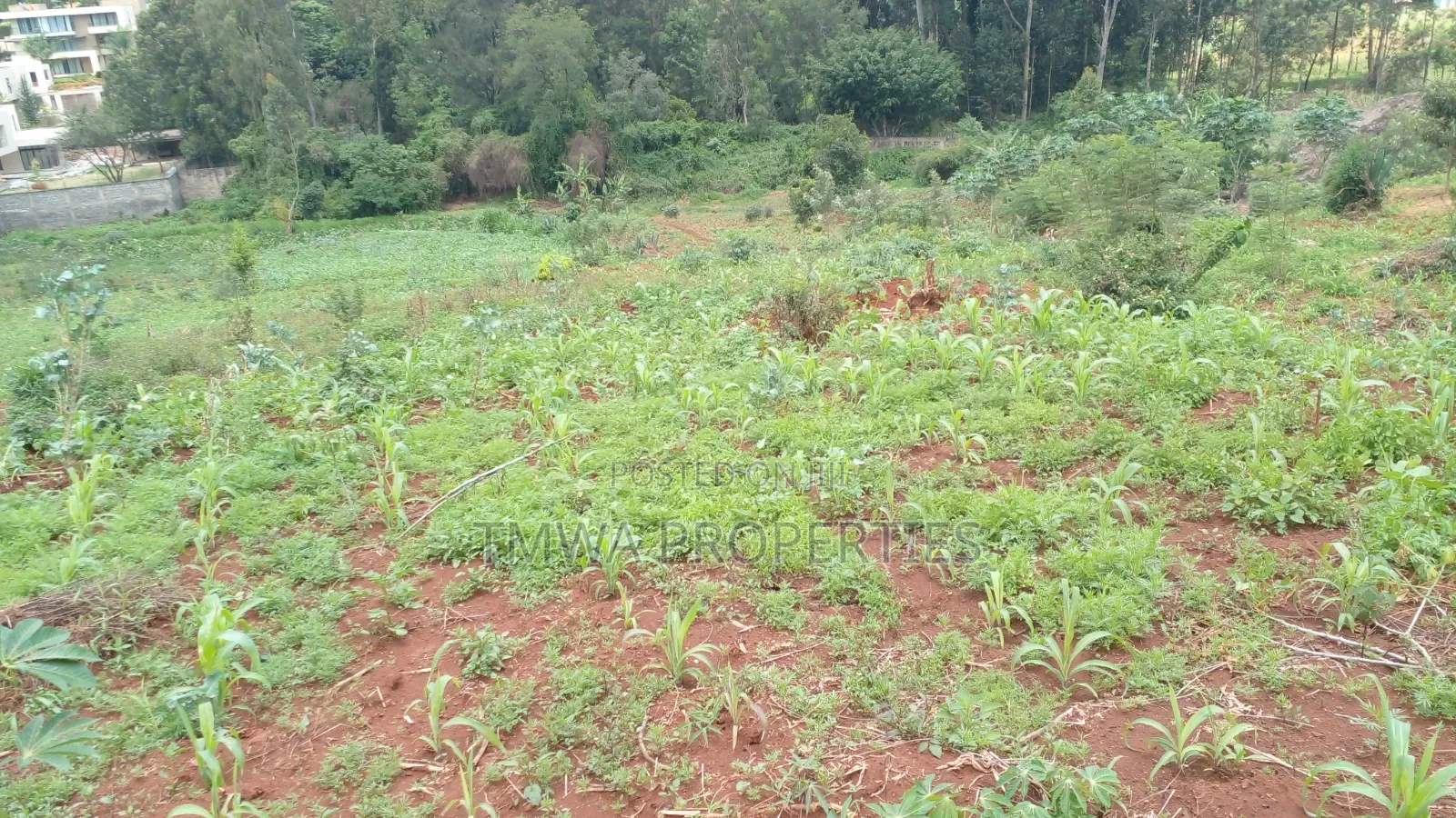Land for Sale One Acre