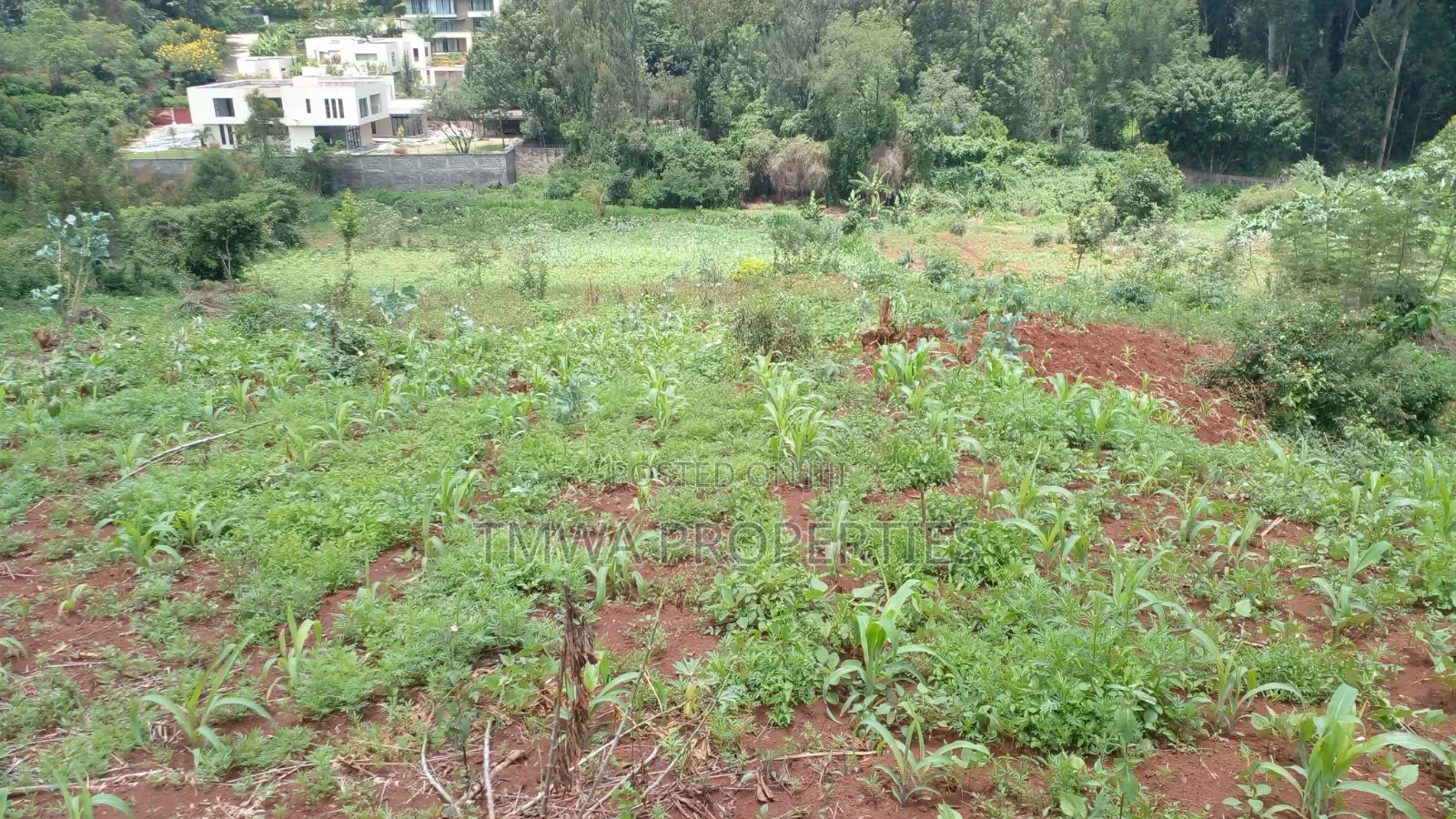 Land for Sale One Acre