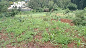 Land for Sale One Acre