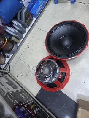 Pd 1884d Double Magnet Naked Speaker