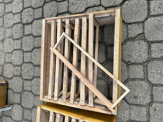Bee Hives With Trays for Sale! - thumbnail 2