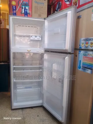 Elagant Samsung Refrigerator