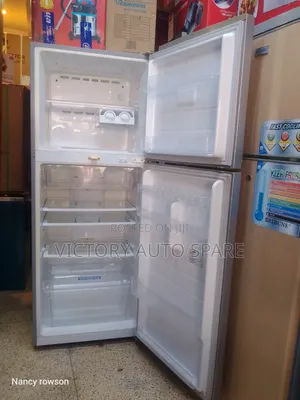 Elagant Samsung Refrigerator