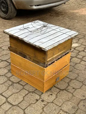 Bee Hives With Trays for Sale!