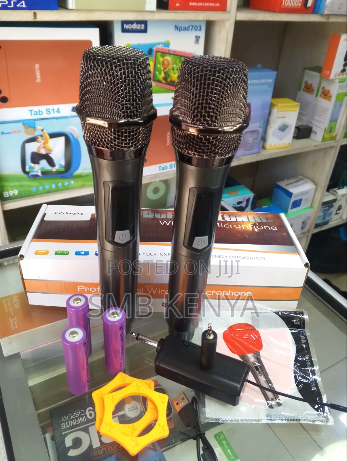 Professional Wireless Microphone Dual