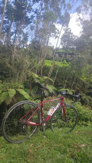 Giant Defy 4
