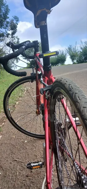 Giant Defy 4