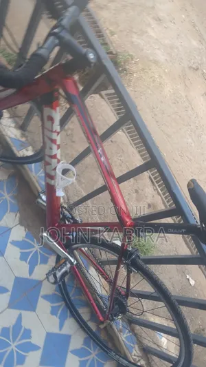 Giant Defy 4