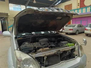 Toyota Land Cruiser Prado 2004 Silver