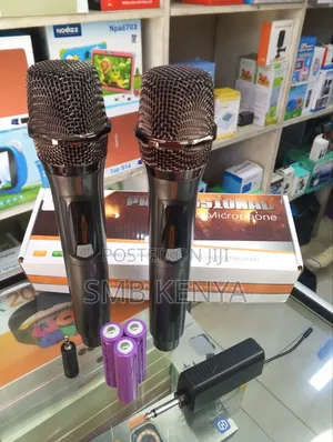 Professional Universal Wireless Microphone