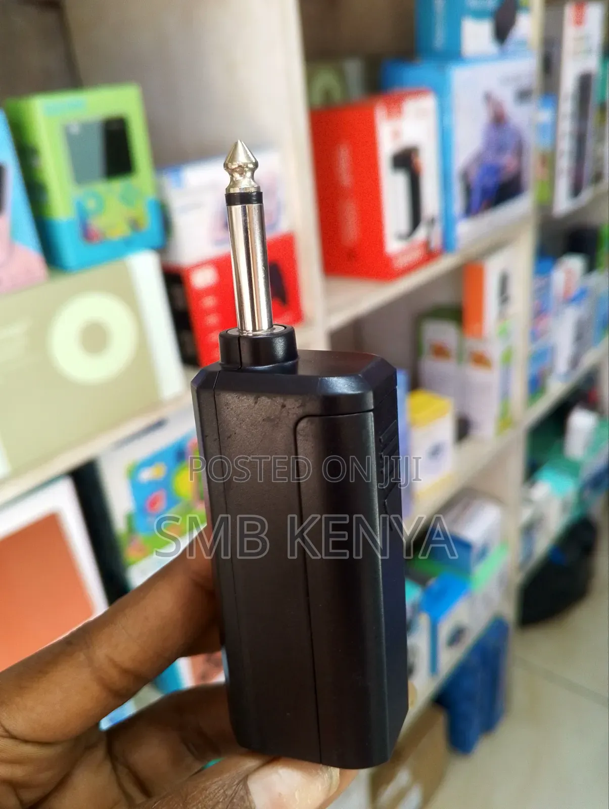 Professional Universal Wireless Microphone