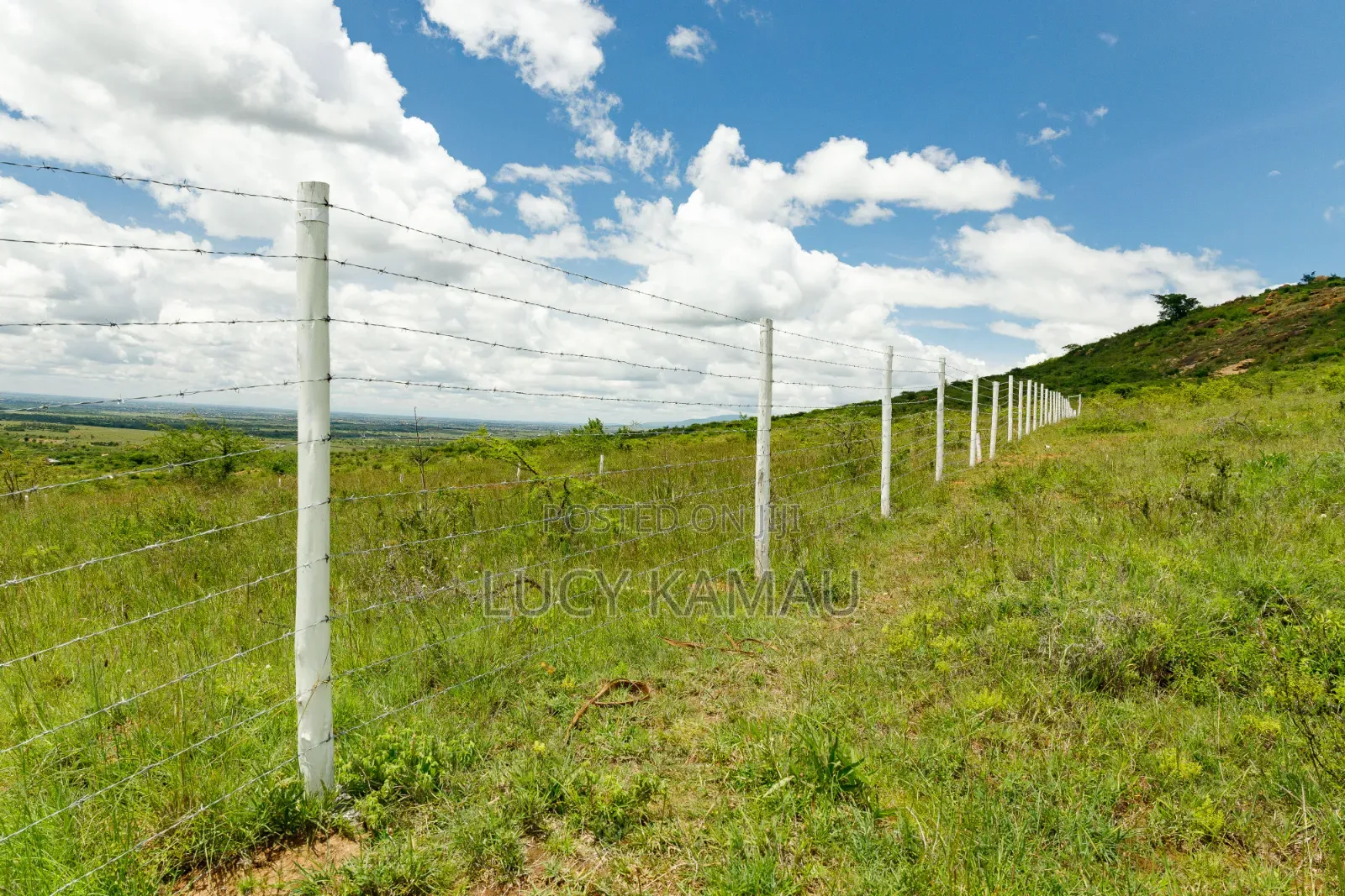5 Acre Parcel Subdivided in 50x100 Plots for Sale in Lukenya