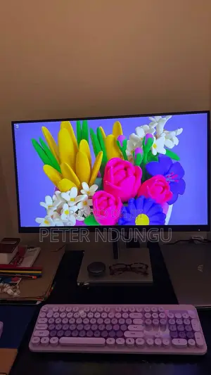 Hp 27 Inch Monitor