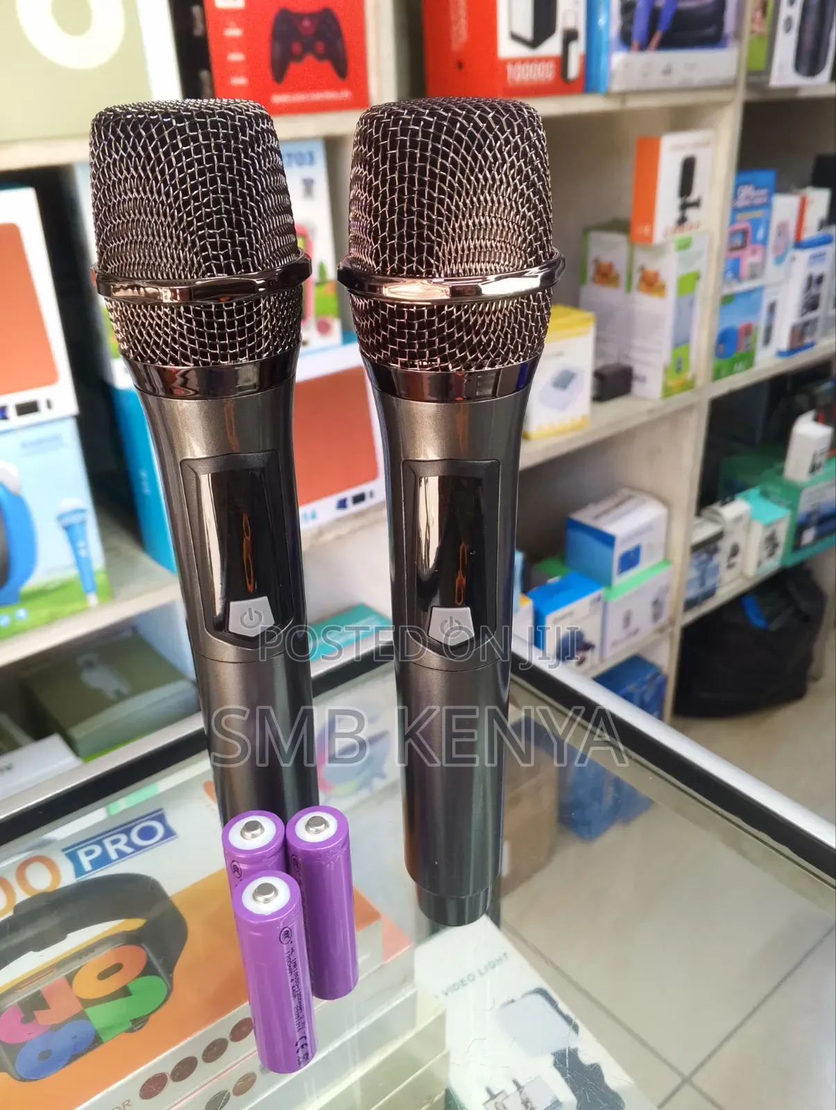Professional Dual Wireless Microphone