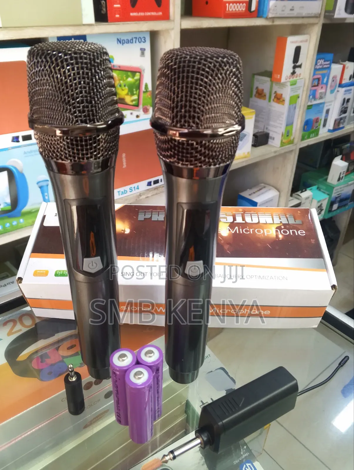 Professional Dual Wireless Microphone