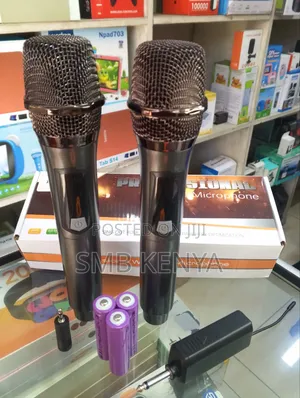 Professional Dual Wireless Microphone