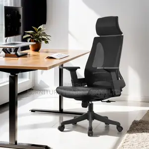 Ergonomic Mesh Home Study Desk Chair