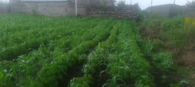 2 Plots for Sale 50by100*2