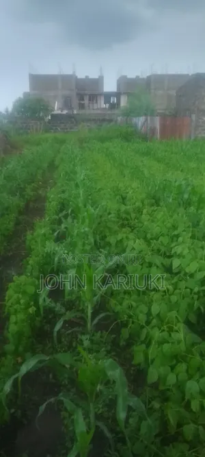 2 Plots for Sale 50by100*2