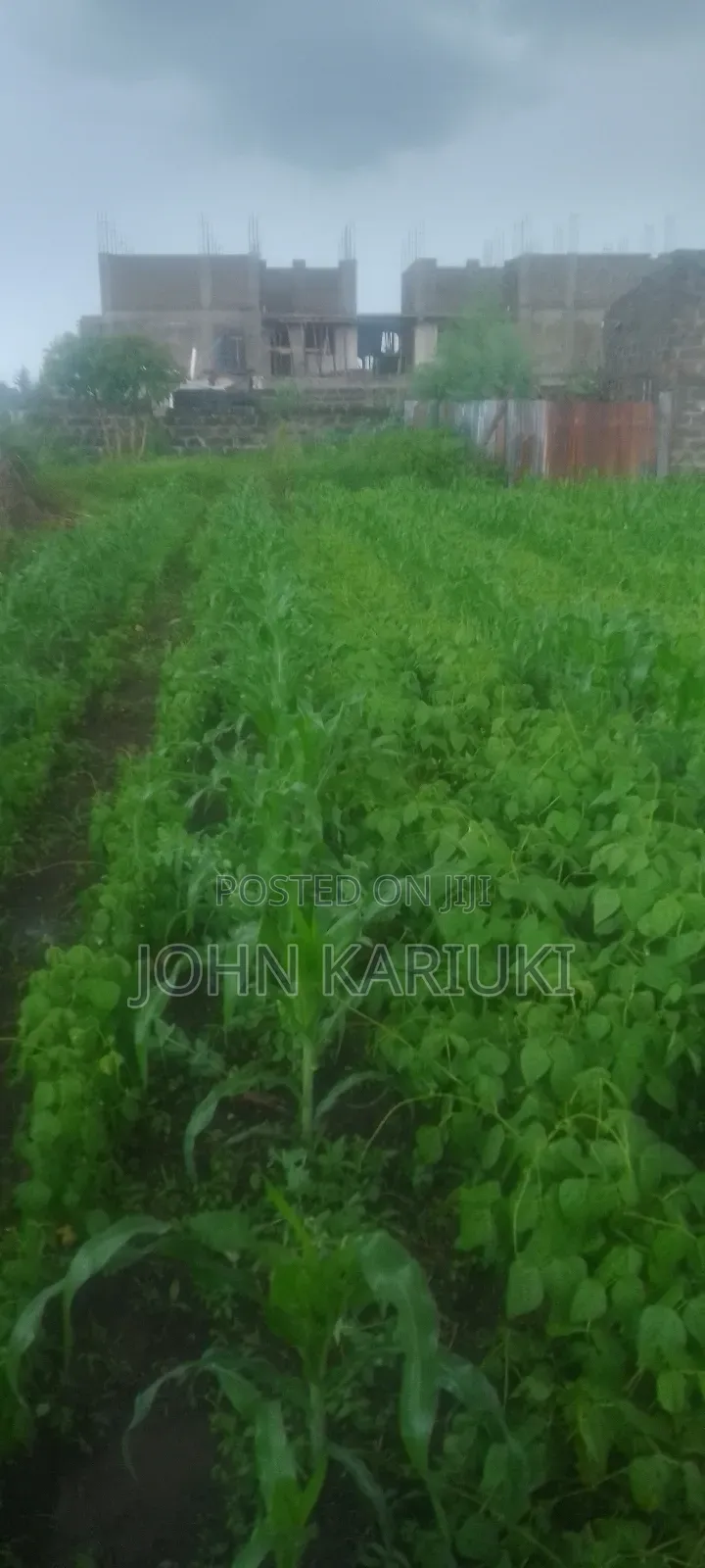 2 Plots for Sale 50by100*2