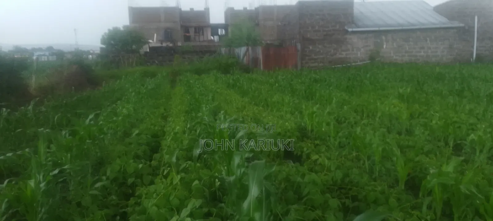 2 Plots for Sale 50by100*2