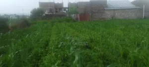 2 Plots for Sale 50by100*2