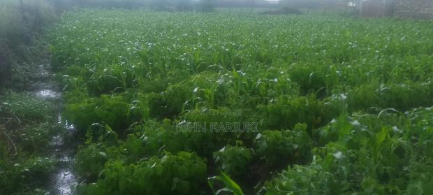2 Plots for Sale 50by100*2 - thumbnail 4
