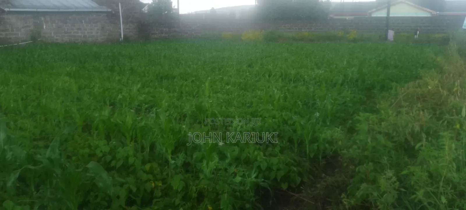 2 Plots for Sale 50by100*2