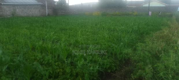 2 Plots for Sale 50by100*2 - thumbnail 5