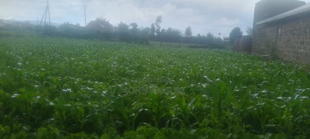 2 Plots for Sale 50by100*2 - thumbnail 7