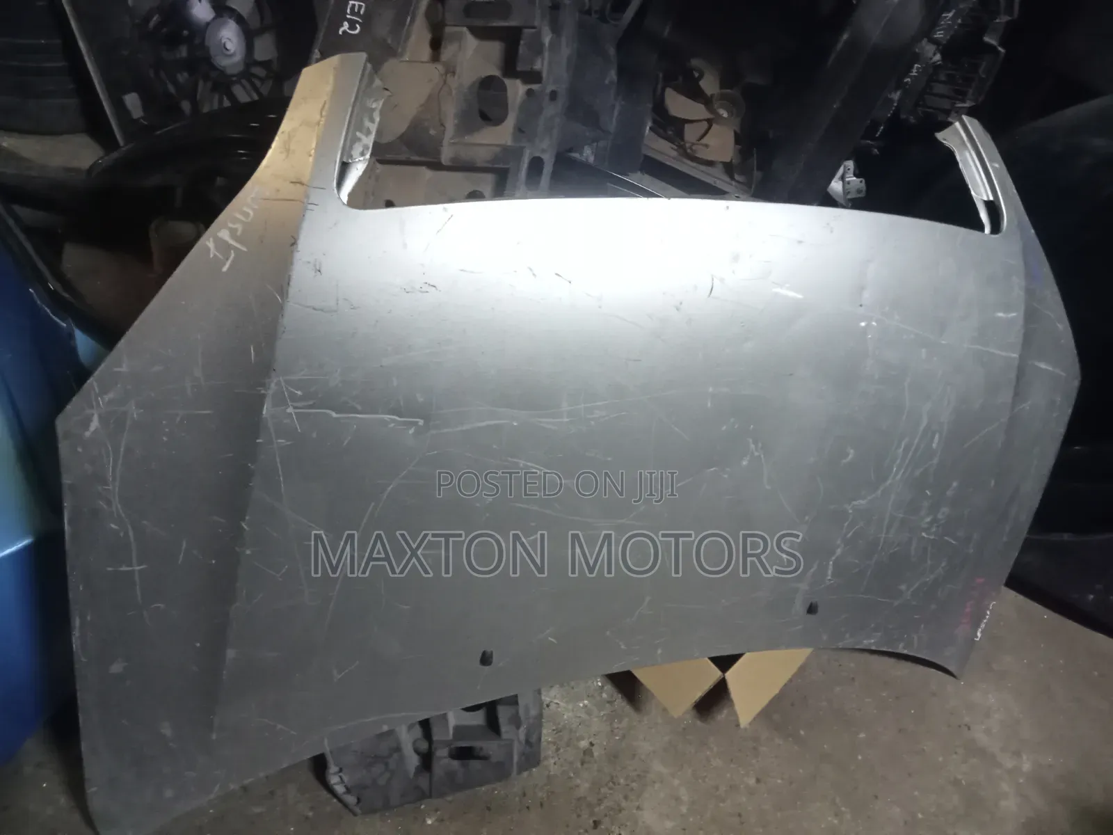 Ipsum Bonnet Less Grille