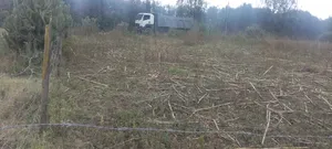 Plot for Sale 50by100