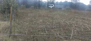 Plot for Sale 50by100