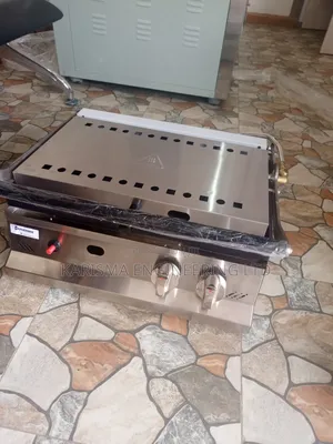 Commercial Gas Panini Grill