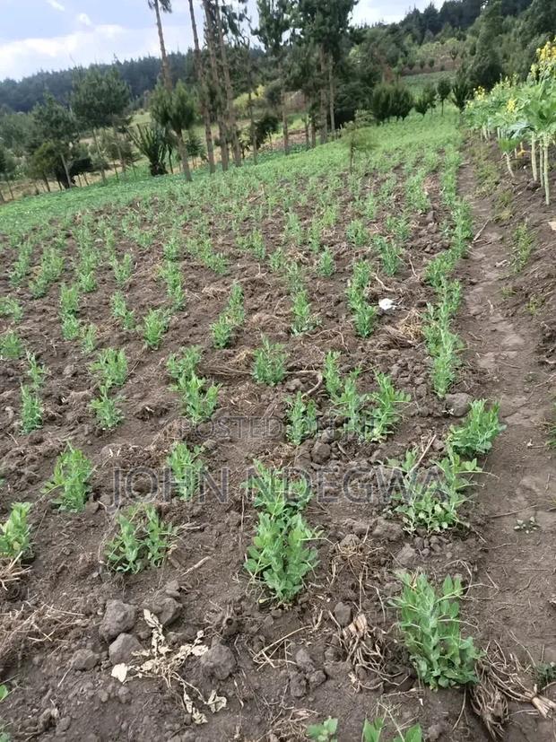 Murang'a Prime Land