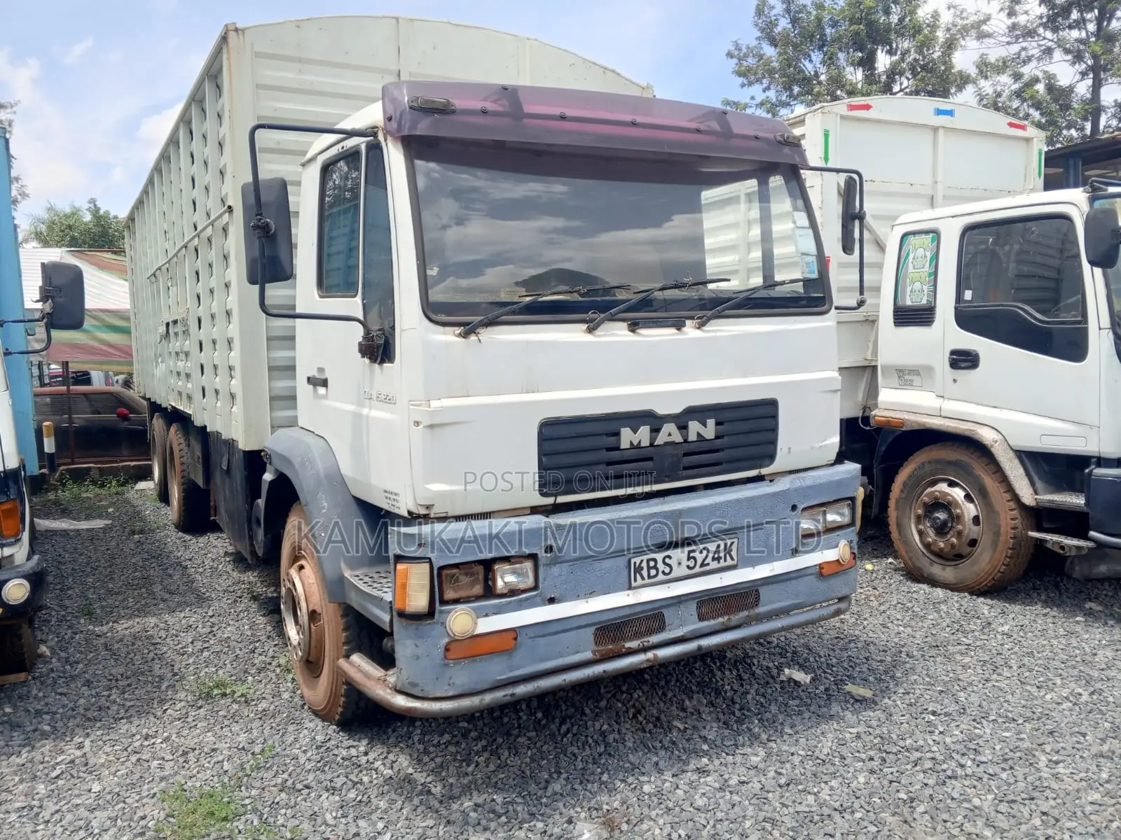 MAN T42 2004 Pearl