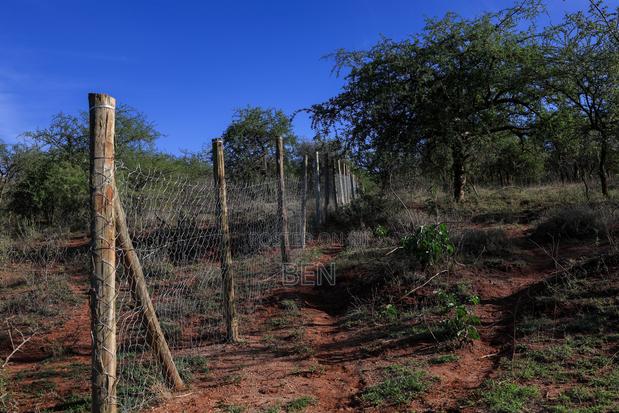 32 Acres in Osilalei Fully Fenced